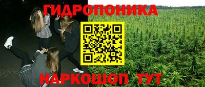 стафф Обнинск