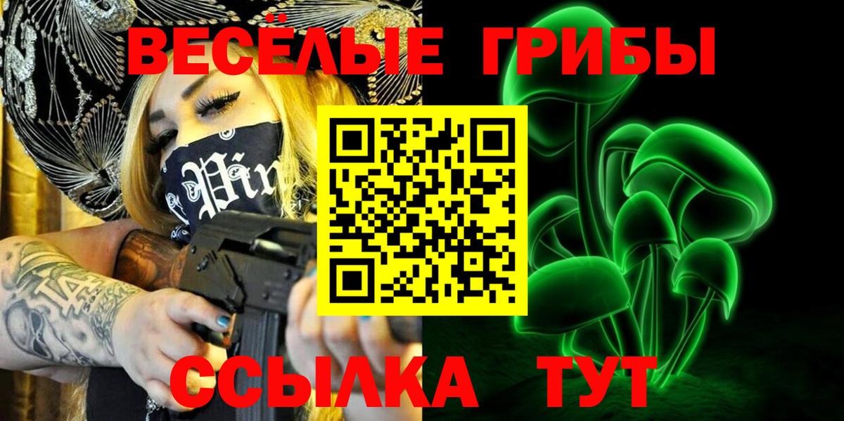 Галлюциногенные грибы GOLDEN TEACHER Тимашёвск