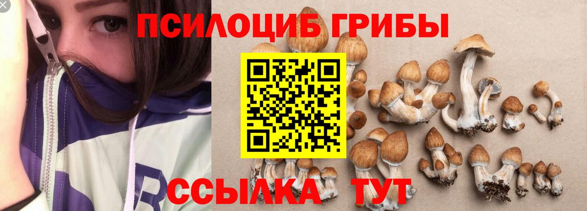Галлюциногенные грибы MAGIC MUSHROOMS  Вход с VPN  Тимашёвск 